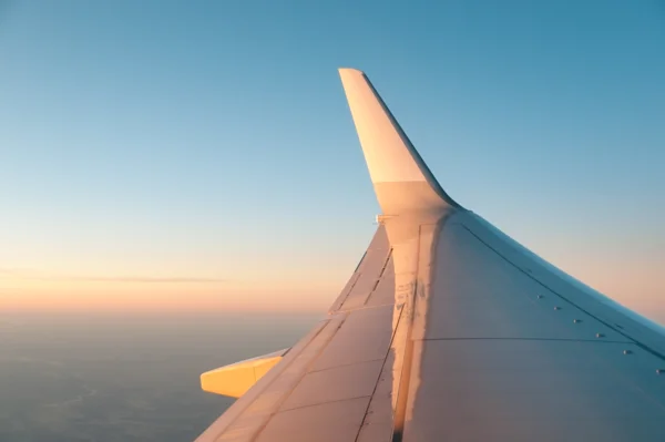Aviation Hub Airplane Wing