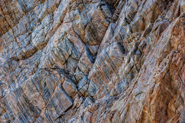 Adobestock 1259948915