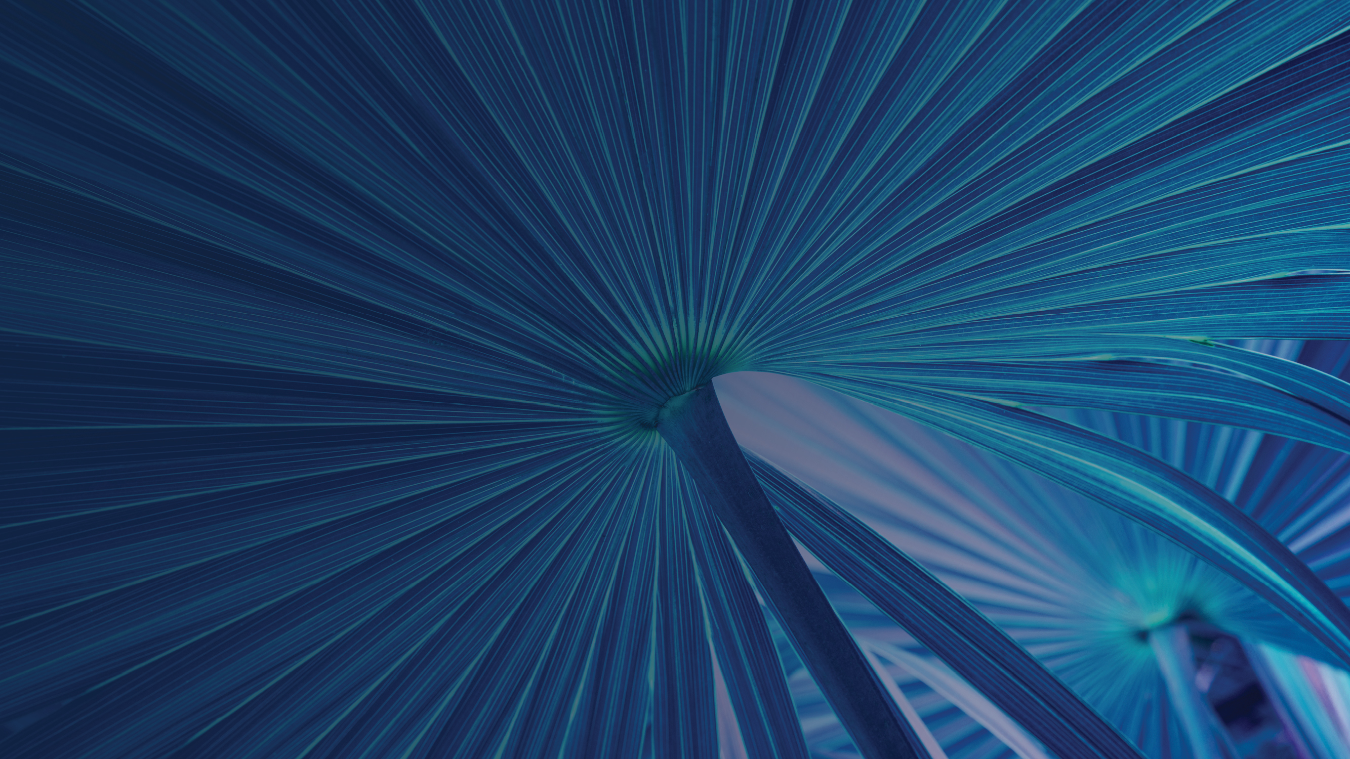 Stephenson Harwood advises on two AIM IPOs in a week, signalling renewed momentum for London listings