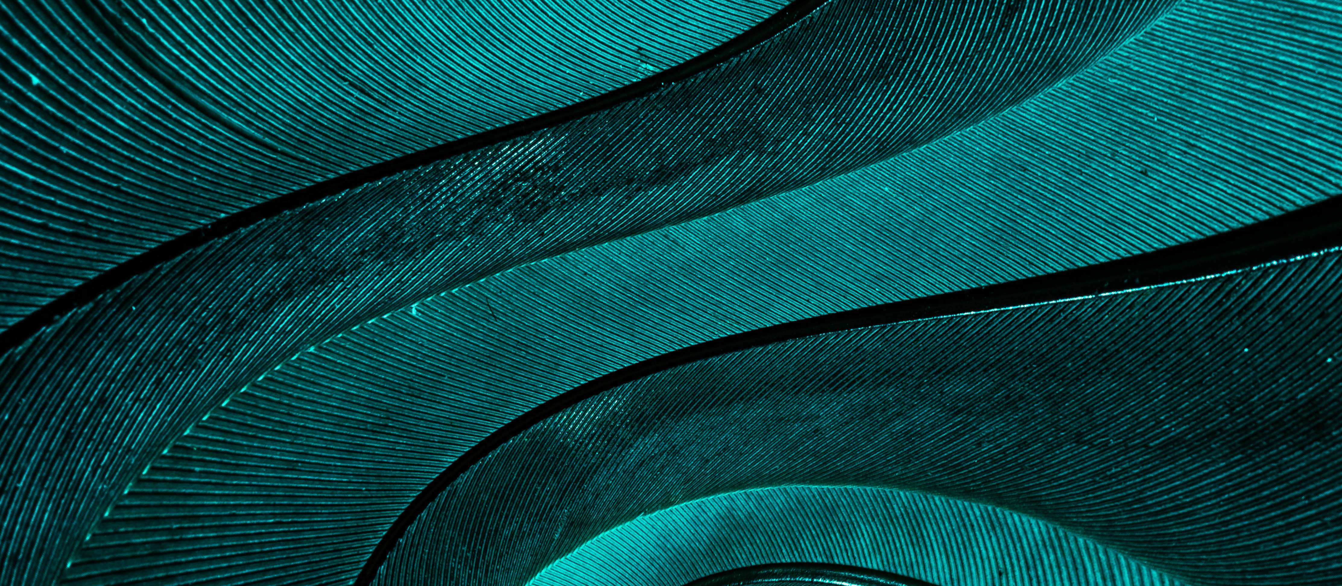 Adobestock 409455824