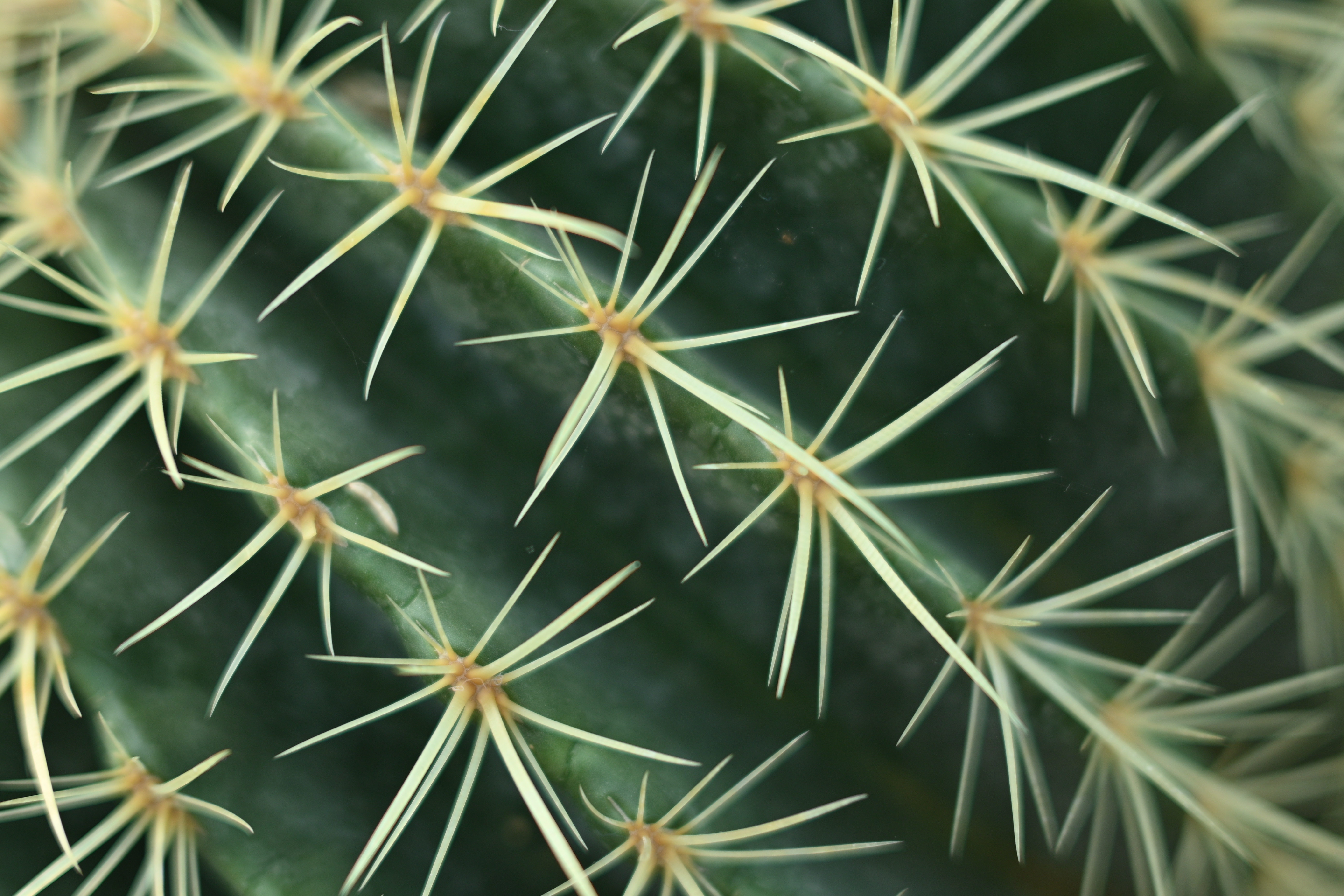 Adobestock 582823897
