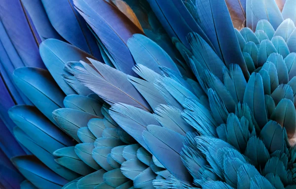 Responsible Business | Diversity & Inclusion | Legal Services