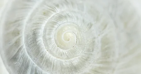 Adobestock 441139420