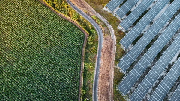 Greenwashing Risk | Legal Services
